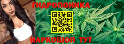 ALPHA-PVP Кандалакша