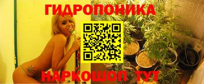 ALPHA-PVP Кандалакша