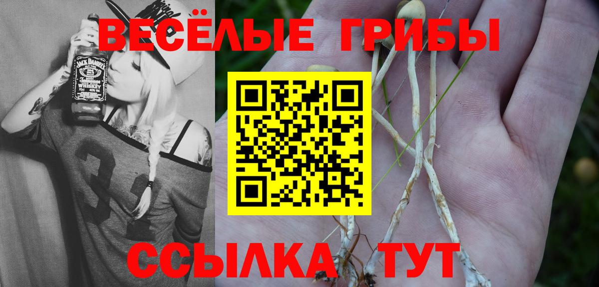Галлюциногенные грибы мицелий  продажа наркотиков  Вход с VPN  Лесосибирск  Галлюциногенные грибы Psilocybe 